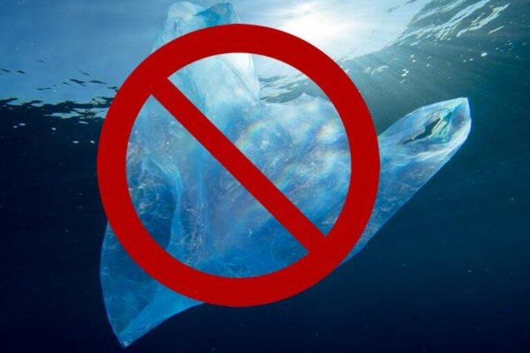 Which countries have banned plastic bags?