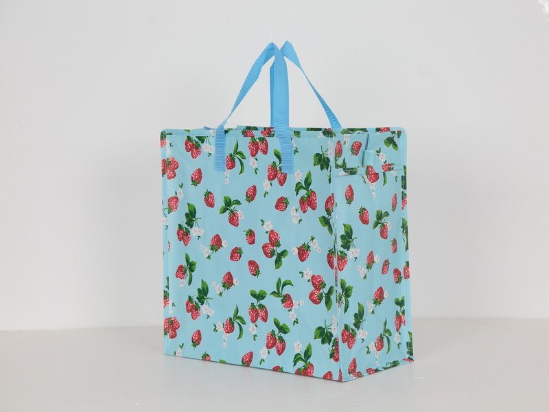 PP Woven Laminated Bag