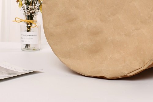 Kraft Paper Shopping Bag