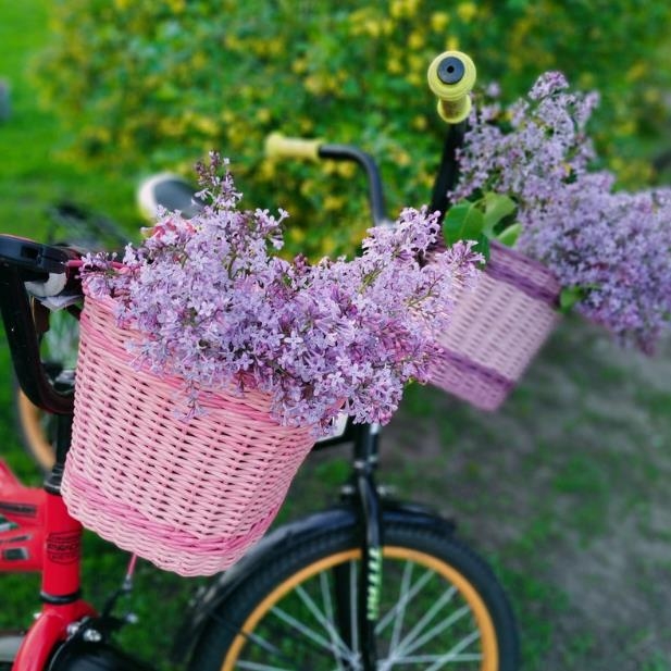 Customized Wicker Bicycle basket