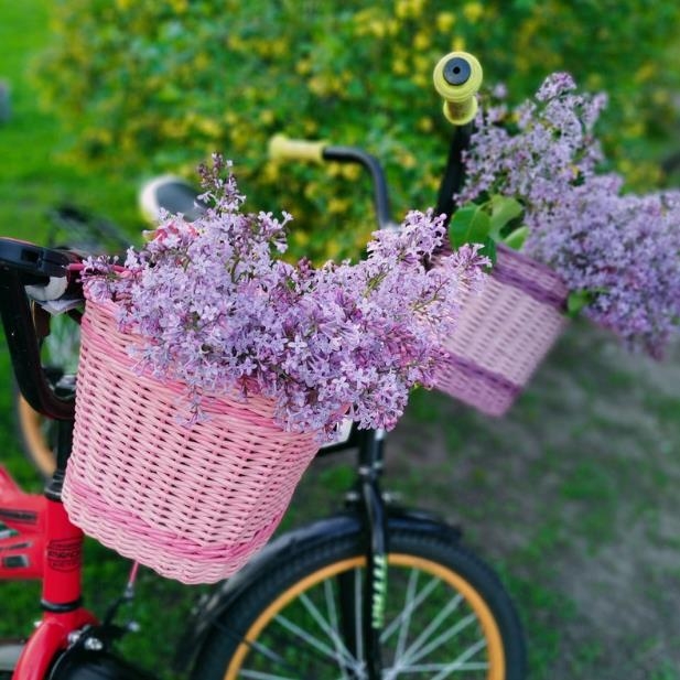 Bicycle basket