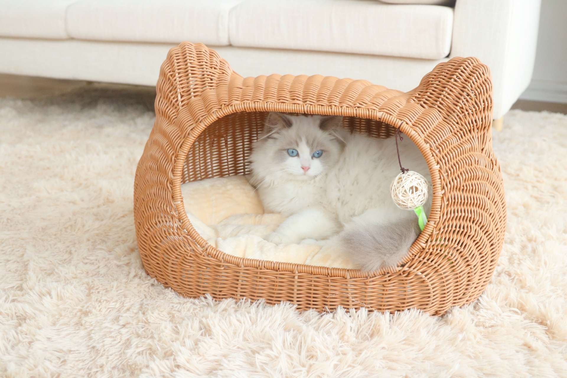 Cat bed