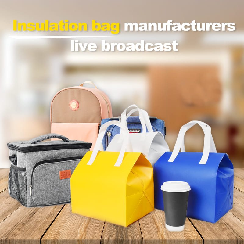 Insulated Cooler Bag Manufacturers – High-Quality, Customizable, and Ideal for Keeping Food Fresh